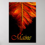 Autumn Leaf Poster | Fall Leaf Poster posters