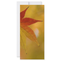 Autumn Leaf Full Color Rack Card