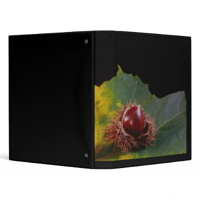 Autumn Leaf With Nut Binder by duhlar