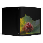 Autumn Leaf With Nut Binder