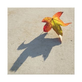 Autumn Leaf with Shadow Stretched Canvas Print