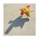 Autumn Leaf with Shadow canvas prints