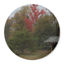 Autumn Leanto, Trees and Sky Bookmark magnets by MyBookmarks Autumn Leanto, Trees and Sky Bookmark magnets