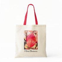 Autumn leave bags