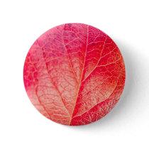 Autumn leave buttons