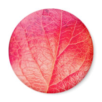 Autumn leave magnets