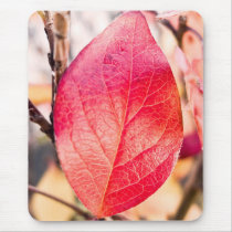 Autumn leave mousepads