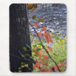 Autumn Leaves-038 Mousepads