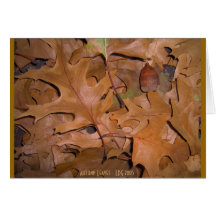 Autumn Leaves 2005 Greeting Cards