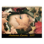 Autumn leaves 2011 Calendar