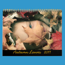 Autumn leaves 2011 Calendar calendars