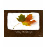 Autumn Leaves 4 Happy Holidays Autumn Leaves 4 Happy Holidays
