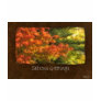 Autumn Leaves 7 Seasons G...
