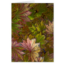 Autumn Leaves: Albert Camus - Note Card