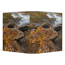 Autumn leaves along Looking Glass Creek in the Binder