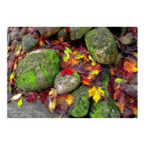 Autumn leaves and field stones,poster posters by GinaSignore Autumn leaves and field stones,poster posters