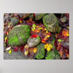 Autumn leaves and field stones,poster posters