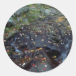 Autumn leaves and stream, Quebec, Canada Round Stickers