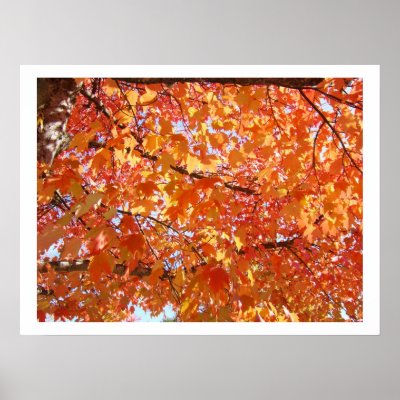 Autumn Leaves art prints Fall Art prints canvas by Basleeartprintgifts