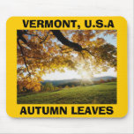 Autumn Leaves, AUTUMN LEAVES,  VERMONT, U.S.A