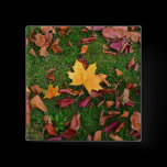 Autumn Leaves buttons