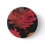 Autumn Leaves Pins