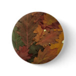 Autumn Leaves Pinback Button