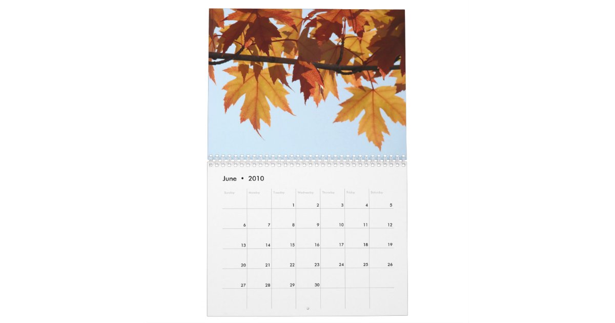 Autumn Leaves CALENDAR Fall Trees Calendars Zazzle