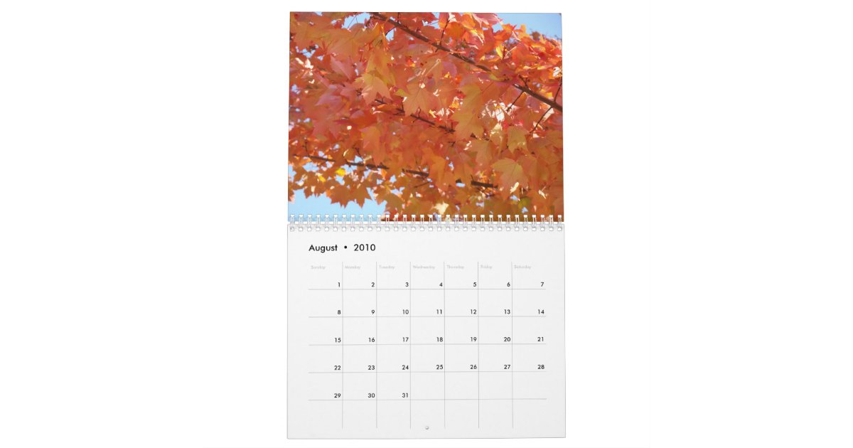 Autumn Leaves CALENDAR Fall Trees Calendars Zazzle