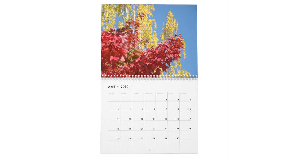 Autumn Leaves CALENDAR Fall Trees Calendars Zazzle
