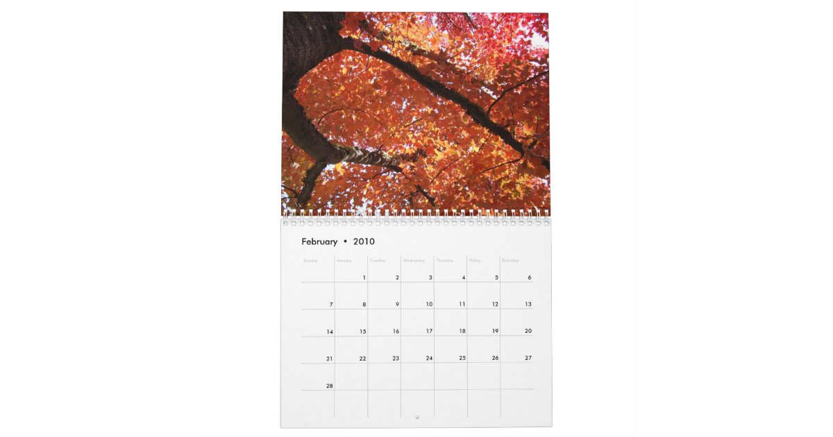 Autumn Leaves CALENDAR Fall Trees Calendars Zazzle