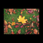 Autumn Leaves canvas prints