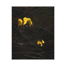 Autumn Leaves Gallery Wrapped Canvas
