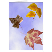 Autumn Leaves cards