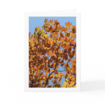 Autumn Leaves cards