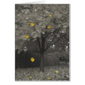 Autumn Leaves cards by my_minnesota Autumn Leaves cards