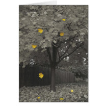 Autumn Leaves cards by my_minnesota Autumn Leaves cards