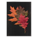 Autumn Leaves cards