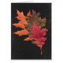 Autumn Leaves