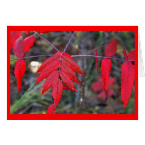 Autumn Leaves card