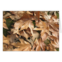 Autumn Leaves Greeting Card