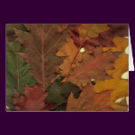 Autumn Leaves