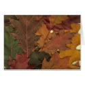 Autumn Leaves cards
