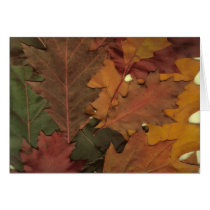 Autumn Leaves cards by nmpics Autumn Leaves cards