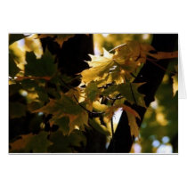 Autumn Leaves cards