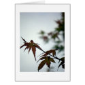 Autumn Leaves/ Card