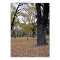 Autumn Leaves cards by grahamunderhill Autumn Leaves cards