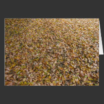 Autumn Leaves - Card