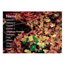 Autumn leaves carpet business card