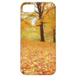 Autumn Leaves - Central Park iPhone 5 Covers